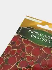Семена Колеус Блюме "Скарлет"
