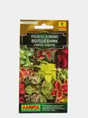 Семена Колеус Блюме Волшебник