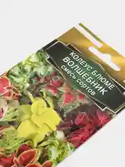 Семена Колеус Блюме Волшебник