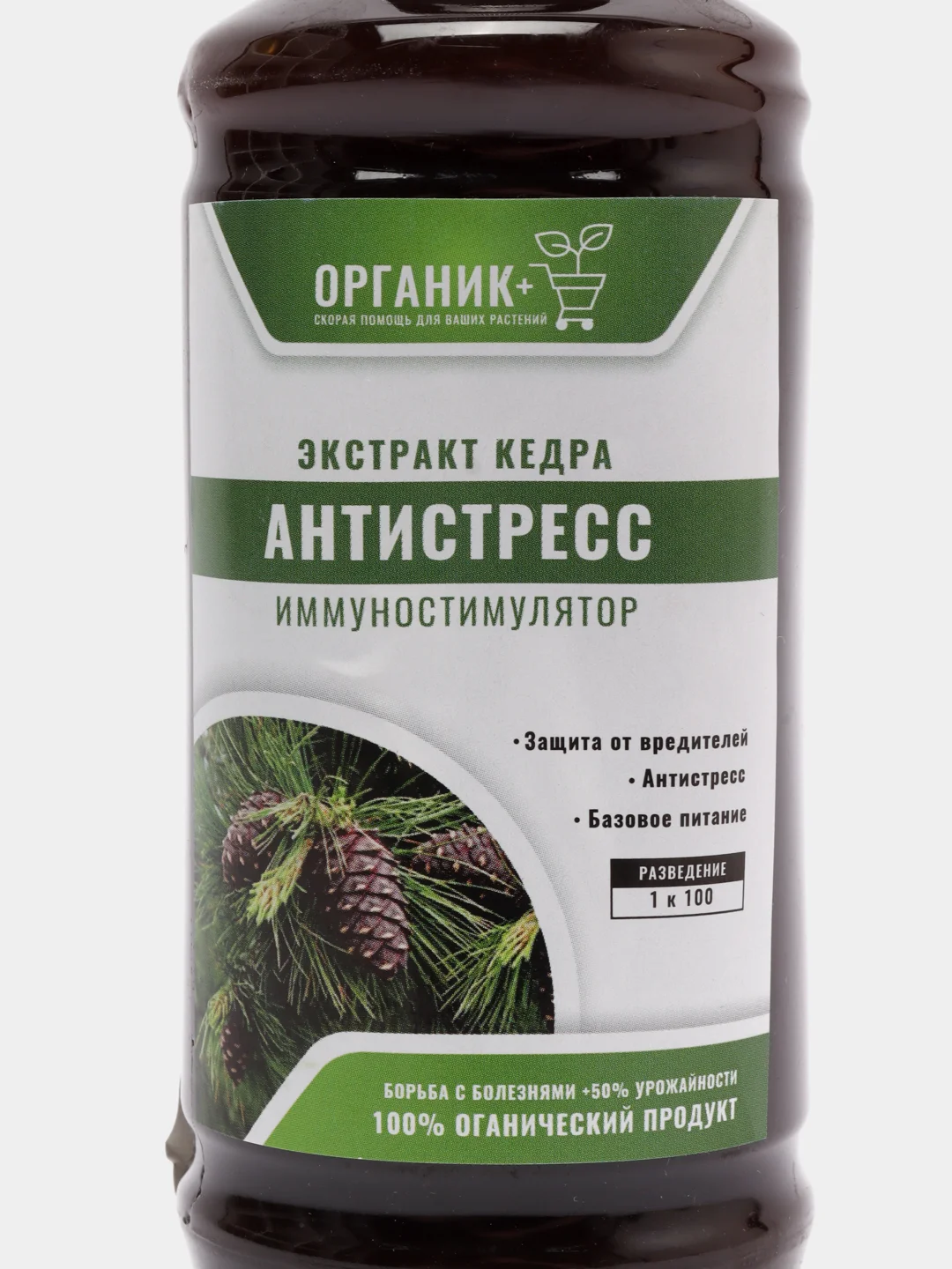 Экстракт кедра, антистресс, 0,25 л