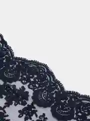 Темно-синий кружево на сетке,(BLUMARINE- оригинал) 14 см х 1 м