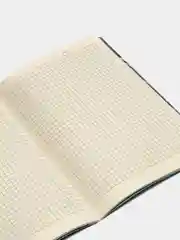 Тетрадь в клетку "Листья", 147 х 210 мм, 40 л, сшивка, 70 г/м, BRAUBERG