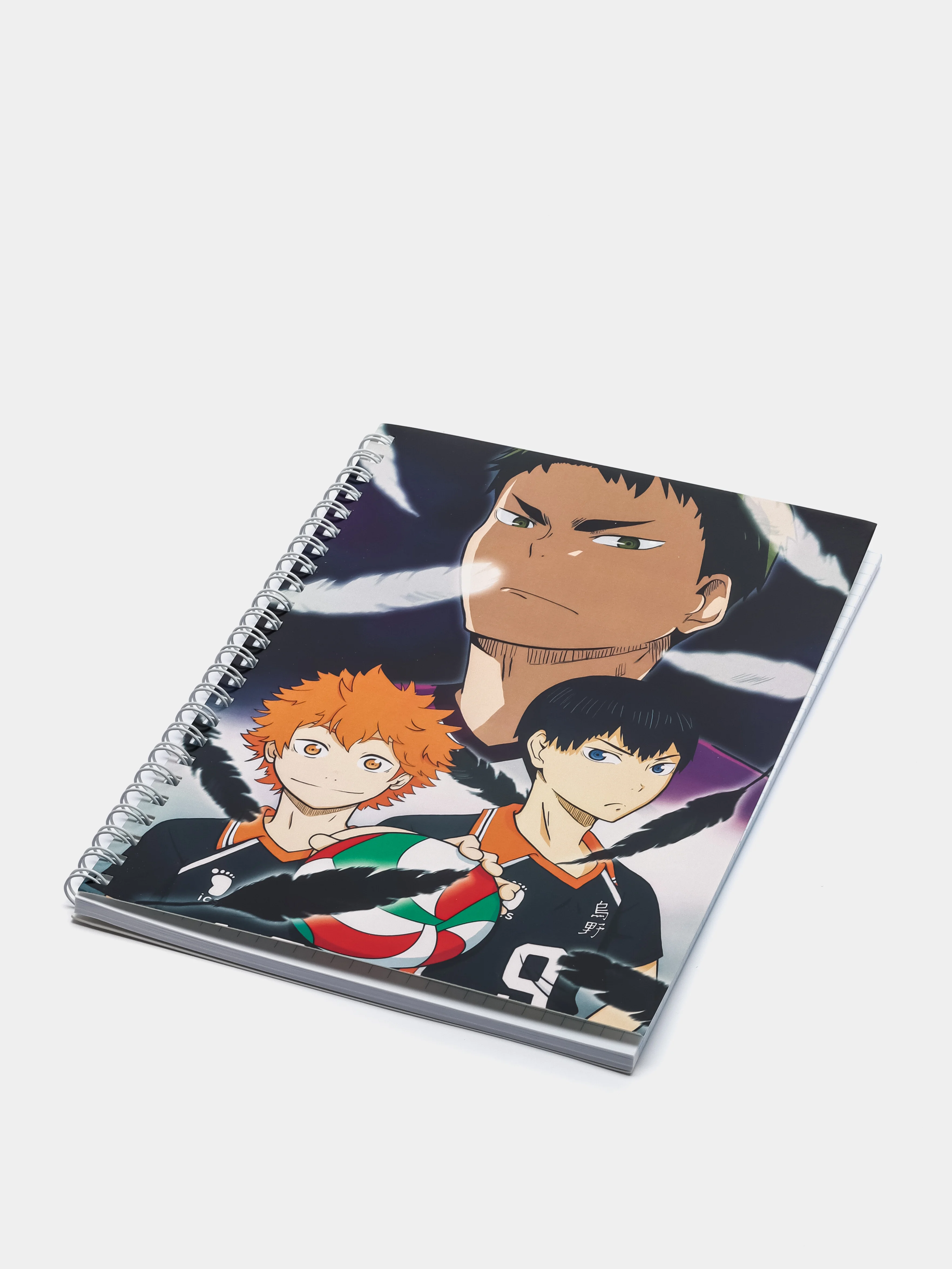 Тетрадь в клетку "HAIKYUU", 48 листов, на кольцах, с принтом