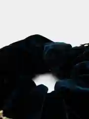 Тёмно-бирюзовый резинка бархатная с золотым кружевом