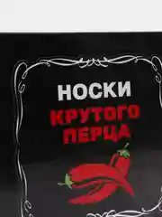 Носки подарочные, в кейсе, 10 штук, размер 40-44