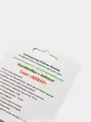 Семена Перец Айвар (Мязина)