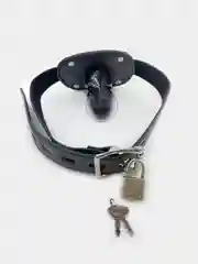 Кляп с внутренним фаллоимитатором