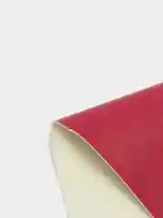 Коралловый искусственная кожа, кожзам 20*30 см