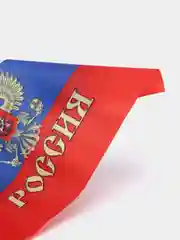 Белый флаг России с гербом 31 х 44 см, шток 60 см, полиэстер