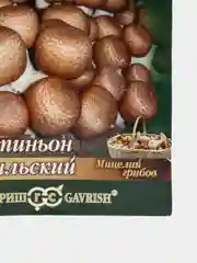 Мицелий на зерновом субстрате Шампиньон  Бразильский  набор 1, 2, 3, 5 уп