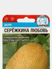 Семена Дыня Сережкина любовь