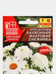 Семена Хризантема балконная "Махровая снежинка" набор 1, 3, 5 уп