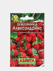 Семена Земляника  Александрина  набор 1, 3, 5 уп