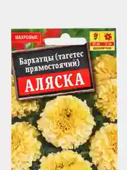 Семена Бархатцы "Аляска" набор 1, 3, 5 уп