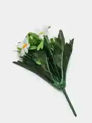 Букет пиретрум (коипозиция разноцветных ромашек)