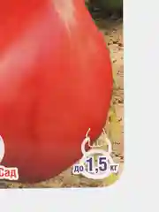 Семена Томат "Пудовик" набор 1, 3, 5 уп