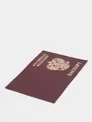 Бордовый обложка на паспорт из натуральной кожи