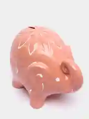 Кораллово-розовый копилки