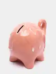 Кораллово-розовый копилки