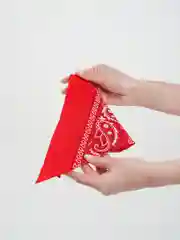 Красный бандана на голову