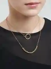 Мультицепочка