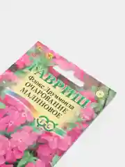 Флокс "Очарование Малиновое", семена, цветы