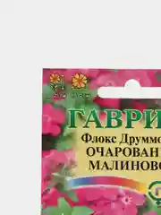 Флокс "Очарование Малиновое", семена, цветы