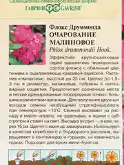 Флокс "Очарование Малиновое", семена, цветы