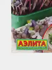 Микрозелень Мизуна красная (семена)