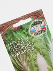 Семена Капуста пекинская F1 "Осенняя красавица" набор 1, 3, 5 уп