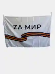 Аметистовый флаги Z & V
