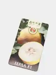 Семена Дыня "Герда F1"