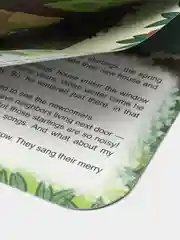 Книга Воробей-хвастун. Мактанчык чыпчык