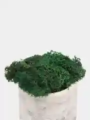 Кашпо дымка, 2 шт