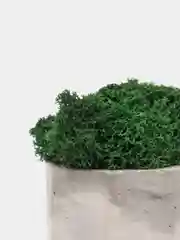Кашпо дымка, 2 шт