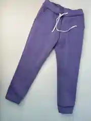 Аметистовый спортивный брюки из футера с начесом ФОРСАЖ