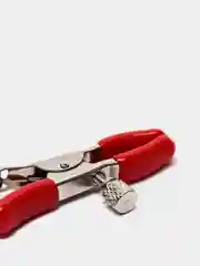 Красный зажимы на соски