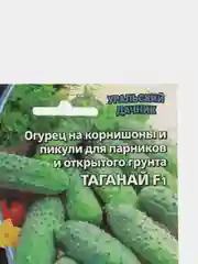 Огурец на корнишоны и пикули Таганай F1