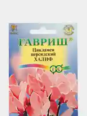 Семена Цикламен персидский "Халиф" набор 1, 3, 5 уп