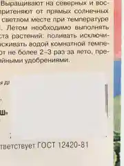 Семена Цикламен персидский "Халиф" набор 1, 3, 5 уп