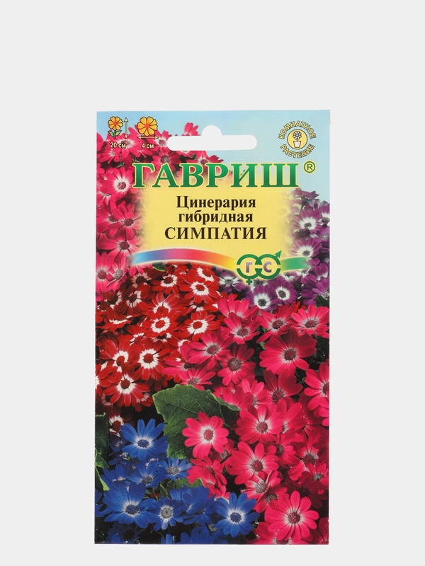 Семена Цинерария гибридная  Симпатия  набор 1, 3, 5 уп