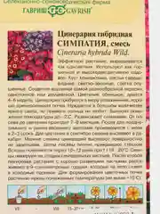 Семена Цинерария гибридная  Симпатия  набор 1, 3, 5 уп