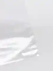 Упаковочный фасовочный пакет с клеевым клапаном 50/100шт. (БОПП пакет)