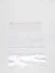 Упаковочный фасовочный пакет с клеевым клапаном 50/100шт. (БОПП пакет)