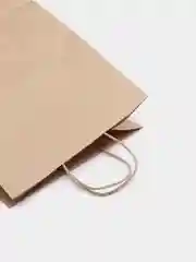 Крафт-пакет подарочный бумажный с кручеными ручками 10шт., упаковочный, фасовочный