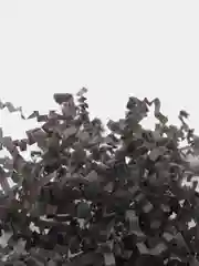 Угольный бумажная стружка тишью для упаковочных коробок