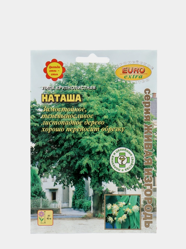 Липа "Наташа", семена, цветы