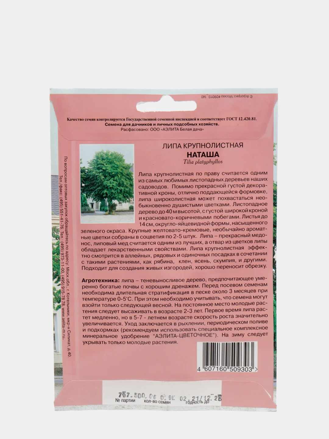 Липа "Наташа", семена, цветы