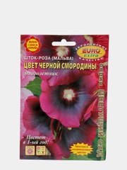Семена цветов Шток роза "Цвет черной смородины"