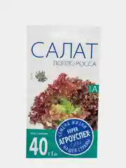 Салат "Лолло Росса" листовой, семена